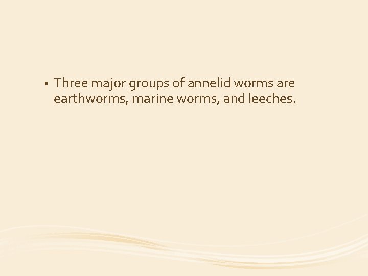  • Three major groups of annelid worms are earthworms, marine worms, and leeches.
