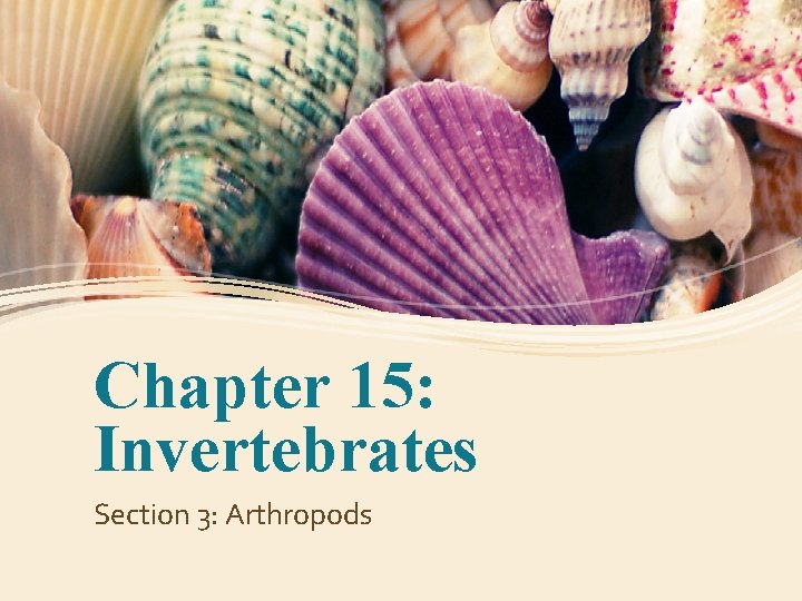 Chapter 15: Invertebrates Section 3: Arthropods 