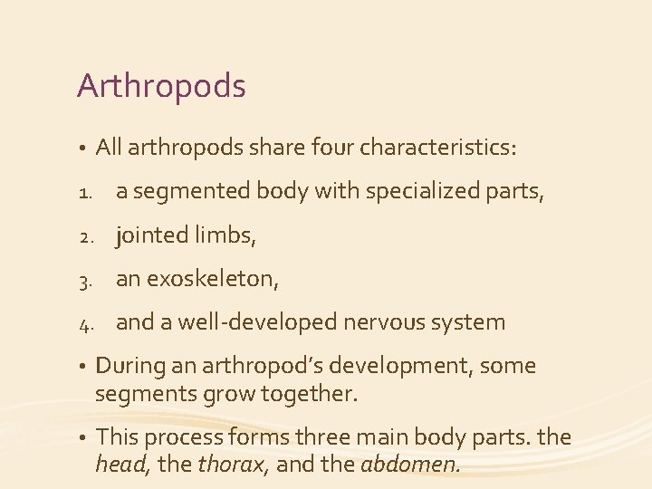 Arthropods • All arthropods share four characteristics: 1. a segmented body with specialized parts,