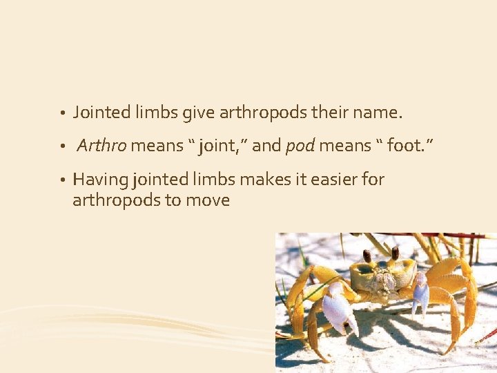  • Jointed limbs give arthropods their name. • Arthro means “ joint, ”