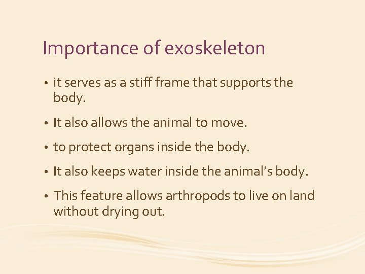 Importance of exoskeleton • it serves as a stiff frame that supports the body.
