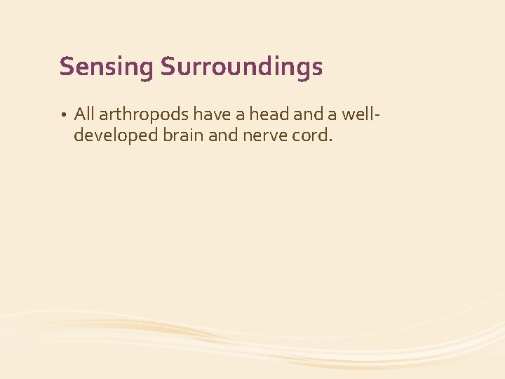 Sensing Surroundings • All arthropods have a head and a welldeveloped brain and nerve