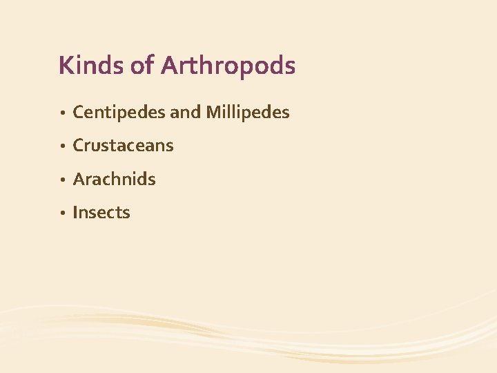 Kinds of Arthropods • Centipedes and Millipedes • Crustaceans • Arachnids • Insects 