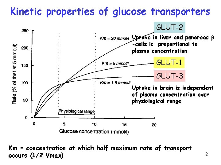 Kinetic properties of glucose transporters GLUT-2 Uptake in liver and pancreas b -cells is