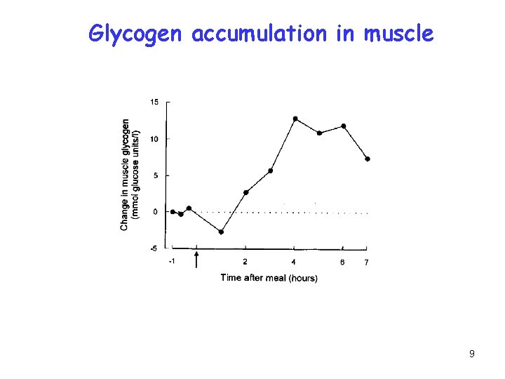 Glycogen accumulation in muscle 9 