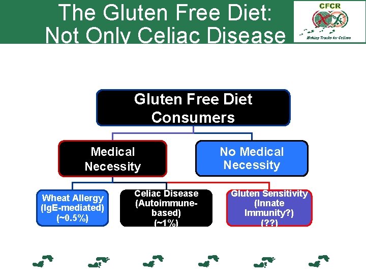 The Gluten Free Diet: Not Only Celiac Disease Gluten Free Diet Consumers Medical Necessity
