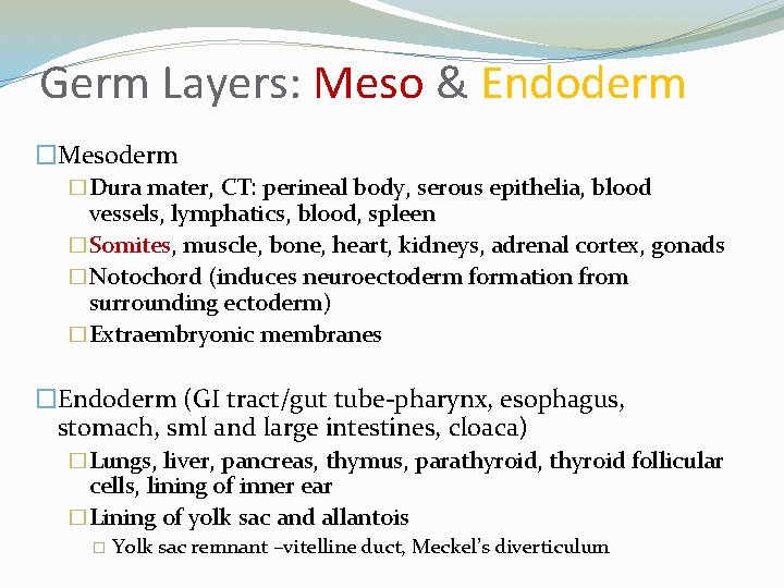 Germ Layers: Meso & Endoderm �Mesoderm �Dura mater, CT: perineal body, serous epithelia, blood