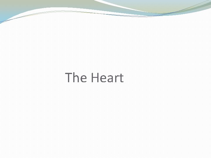 The Heart 