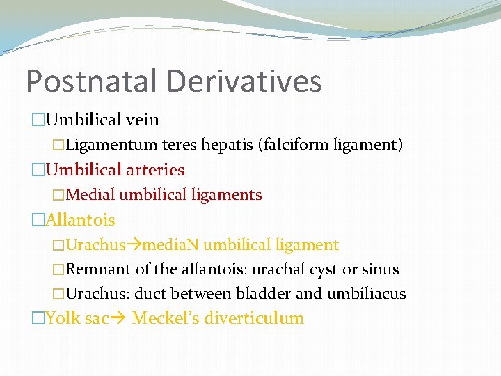 Postnatal Derivatives �Umbilical vein �Ligamentum teres hepatis (falciform ligament) �Umbilical arteries �Medial umbilical ligaments