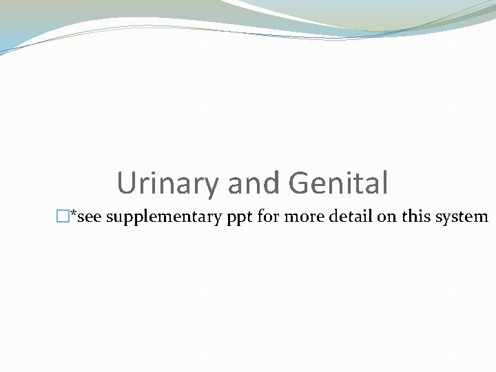 Urinary and Genital �*see supplementary ppt for more detail on this system 