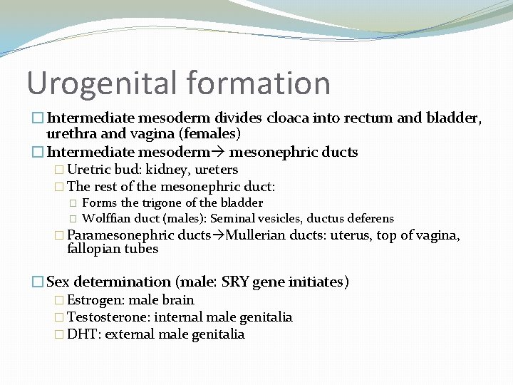 Urogenital formation �Intermediate mesoderm divides cloaca into rectum and bladder, urethra and vagina (females)