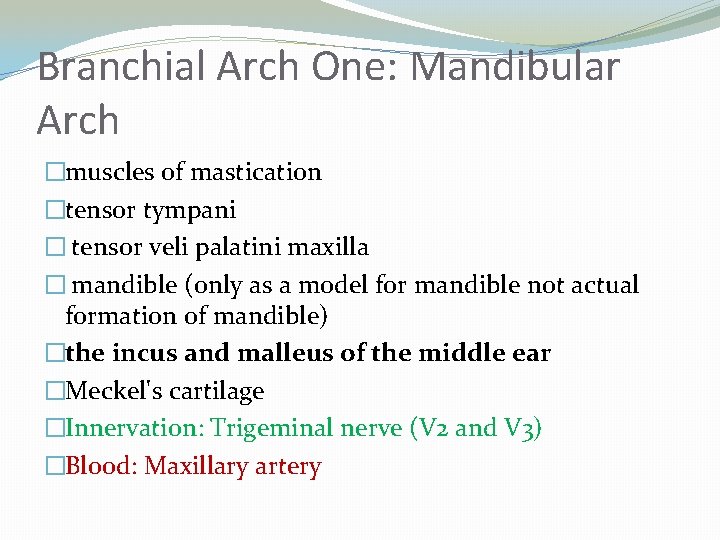 Branchial Arch One: Mandibular Arch �muscles of mastication �tensor tympani � tensor veli palatini