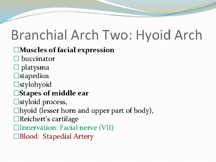 Branchial Arch Two: Hyoid Arch �Muscles of facial expression � buccinator � platysma �stapedius