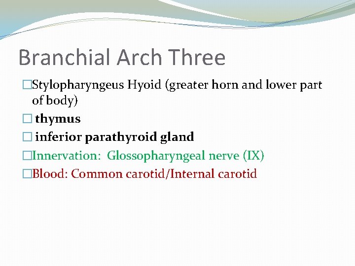 Branchial Arch Three �Stylopharyngeus Hyoid (greater horn and lower part of body) � thymus