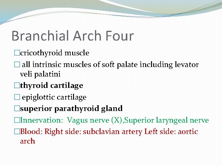 Branchial Arch Four �cricothyroid muscle � all intrinsic muscles of soft palate including levator