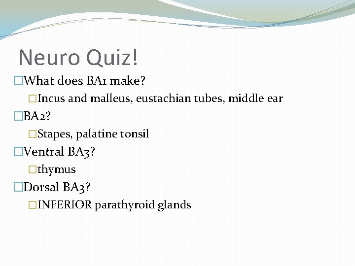 Neuro Quiz! �What does BA 1 make? �Incus and malleus, eustachian tubes, middle ear