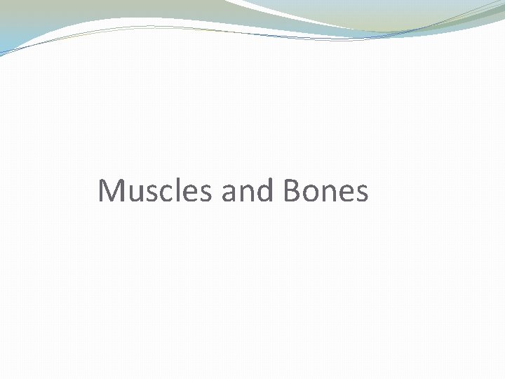 Muscles and Bones 