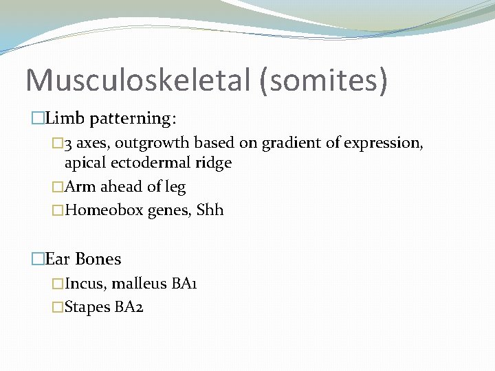 Musculoskeletal (somites) �Limb patterning: � 3 axes, outgrowth based on gradient of expression, apical