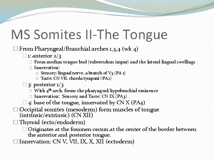 MS Somites II-The Tongue � From Pharyngeal/Branchial arches 1, 3, 4 (wk 4) �