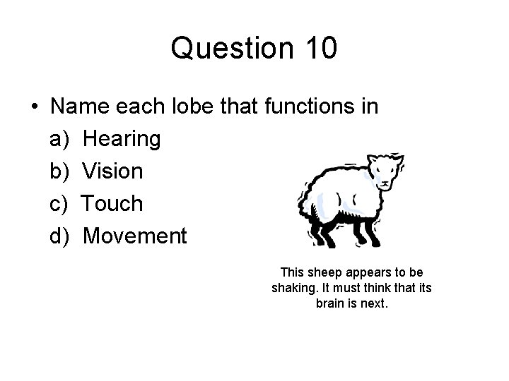 Question 10 • Name each lobe that functions in a) Hearing b) Vision c)