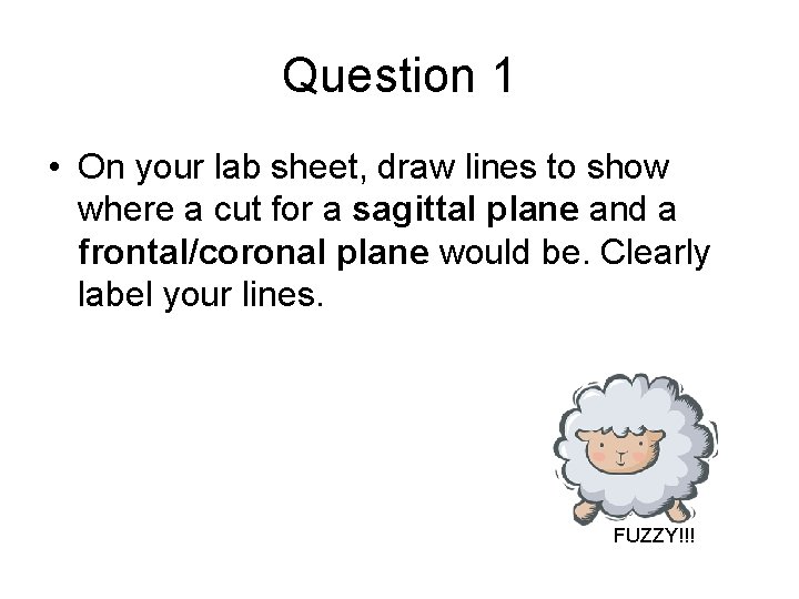 Question 1 • On your lab sheet, draw lines to show where a cut