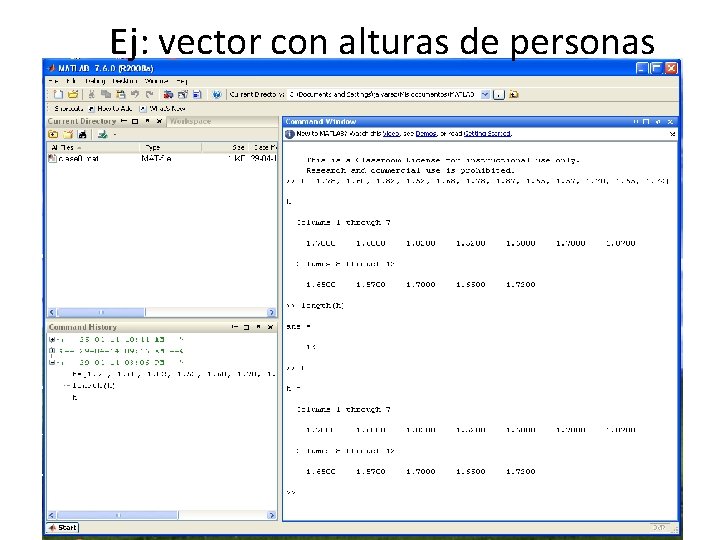 Ej: vector con alturas de personas 