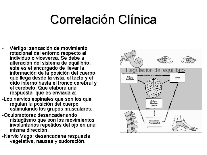 Correlación Clínica • Vértigo: sensación de movimiento rotacional del entorno respecto al individuo o