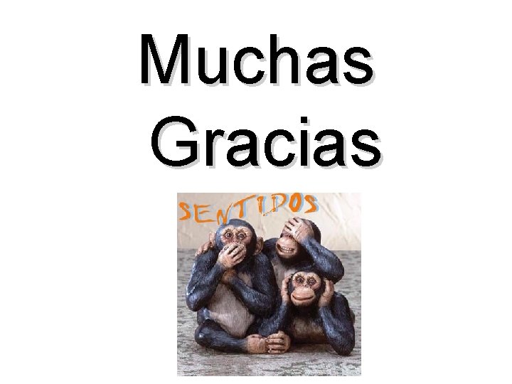 Muchas Gracias 
