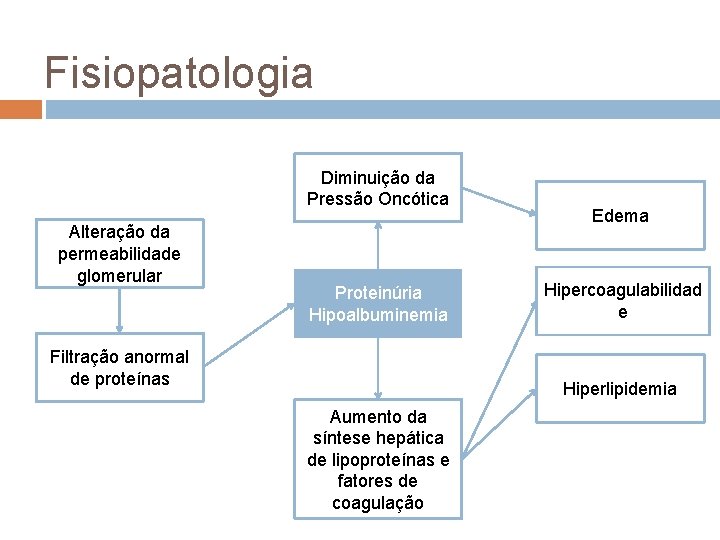Fisiopatologia Diminuição da Pressão Oncótica Alteração da permeabilidade glomerular Proteinúria Hipoalbuminemia Filtração anormal de