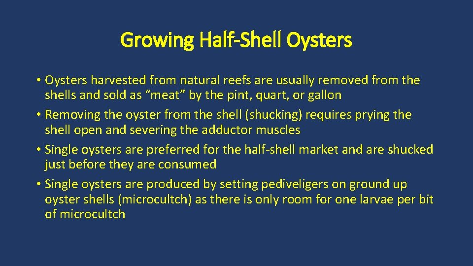 Growing Half-Shell Oysters • Oysters harvested from natural reefs are usually removed from the