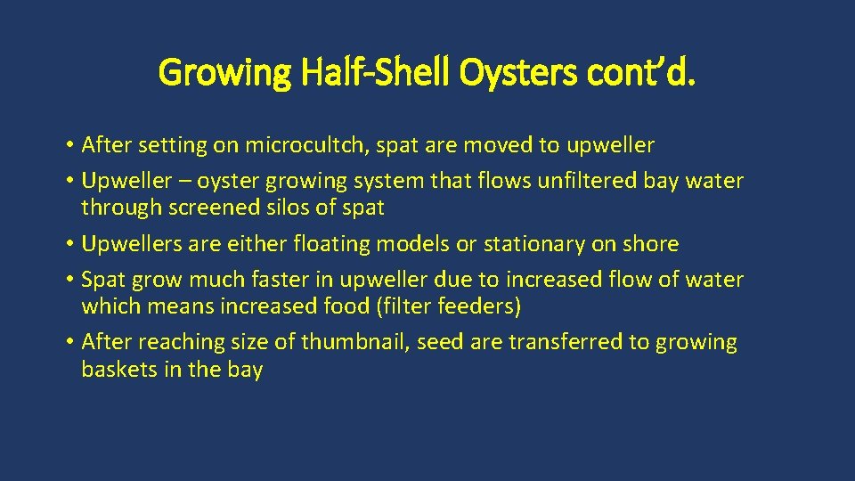 Growing Half-Shell Oysters cont’d. • After setting on microcultch, spat are moved to upweller