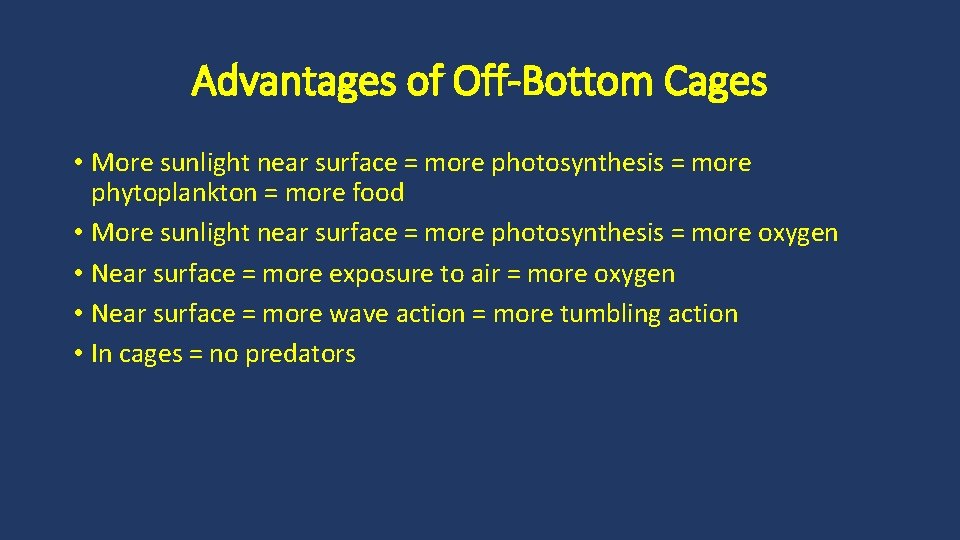 Advantages of Off-Bottom Cages • More sunlight near surface = more photosynthesis = more