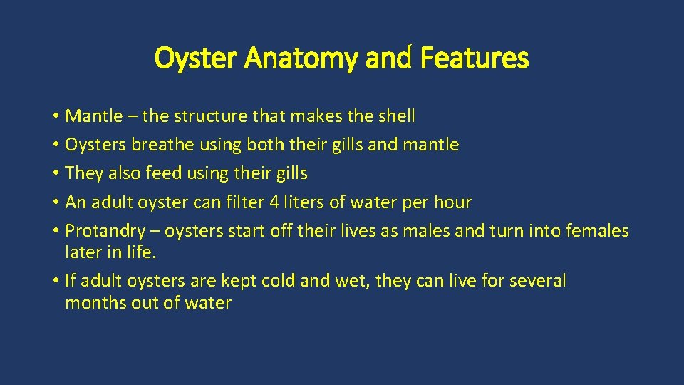 Oyster Anatomy and Features • Mantle – the structure that makes the shell •