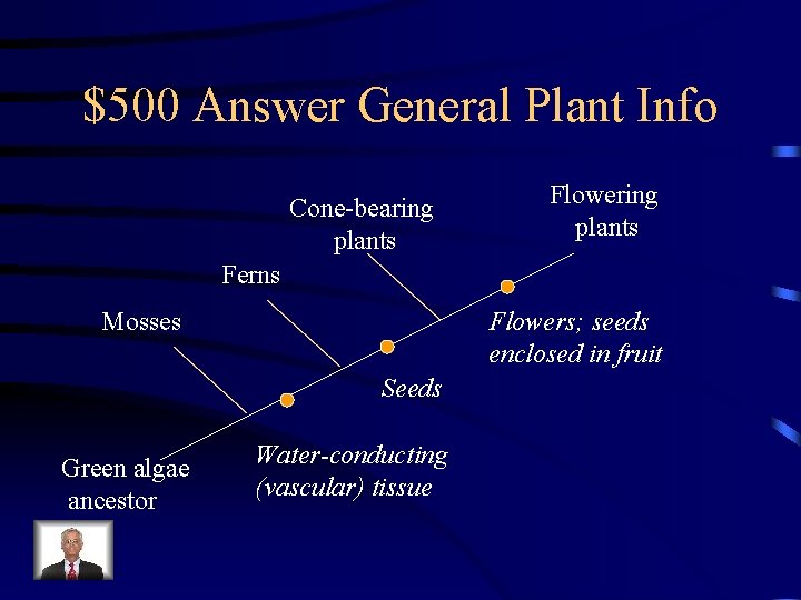 $500 Answer General Plant Info Cone-bearing plants Flowering plants Ferns Mosses Flowers; seeds enclosed