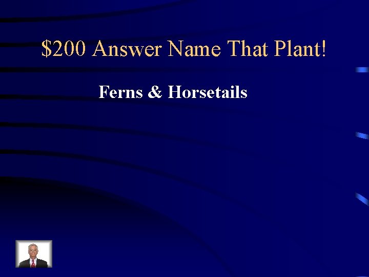 $200 Answer Name That Plant! Ferns & Horsetails 