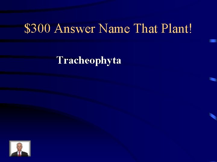 $300 Answer Name That Plant! Tracheophyta 