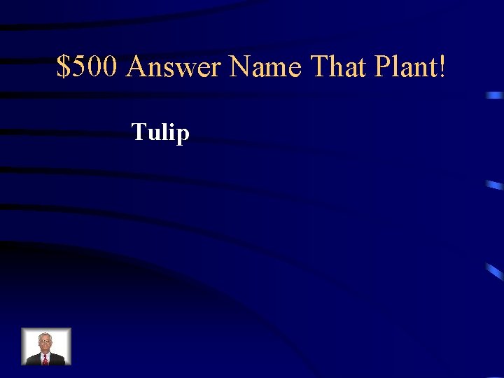 $500 Answer Name That Plant! Tulip 