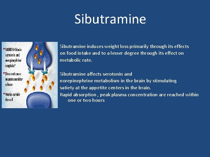 Sibutramine The brand name is Meridia Sibutramine induces weight loss primarily through its effects