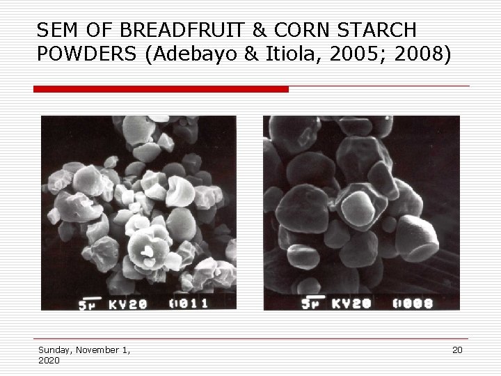 SEM OF BREADFRUIT & CORN STARCH POWDERS (Adebayo & Itiola, 2005; 2008) Sunday, November