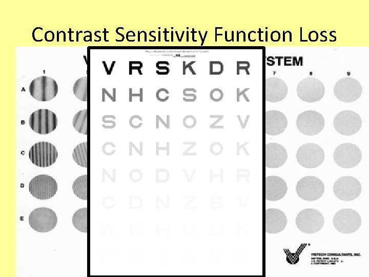 Contrast Sensitivity Function Loss • Various Ways of Measuring Contrast Sensitivity 