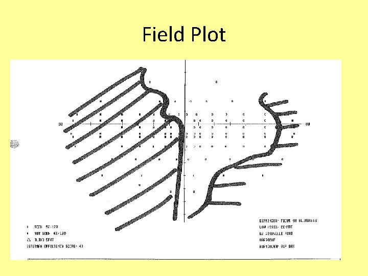 Field Plot 