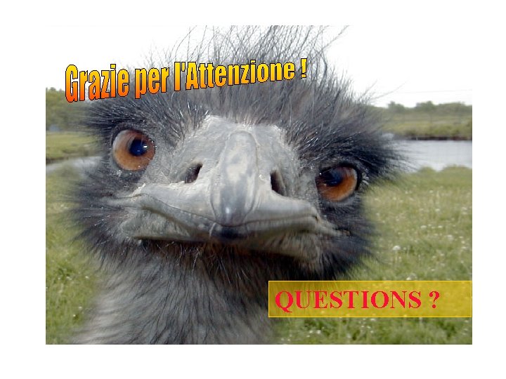 QUESTIONS ? 