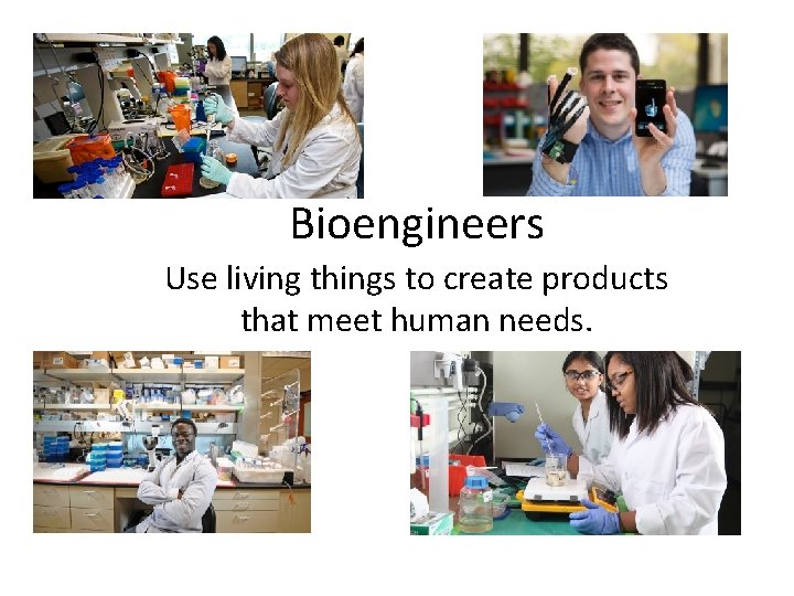 Bioengineers Use living things to create products that meet human needs. 