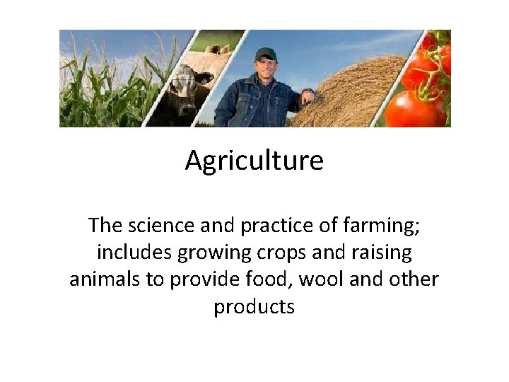 Agriculture The science and practice of farming; includes growing crops and raising animals to