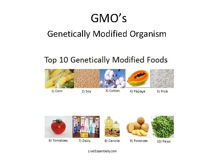 GMO’s Genetically Modified Organism 