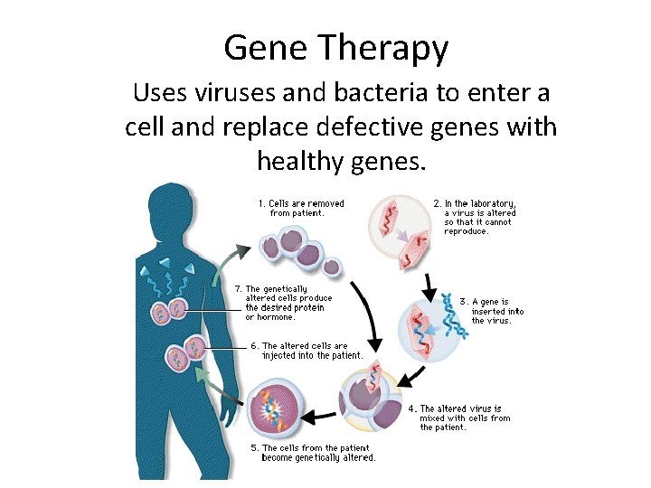 Gene Therapy Uses viruses and bacteria to enter a cell and replace defective genes