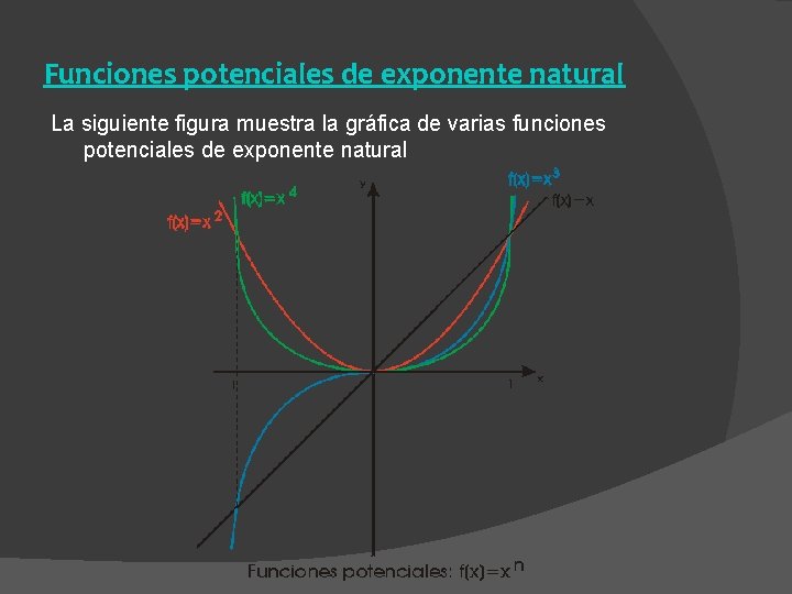 Funciones potenciales de exponente natural La siguiente figura muestra la gráfica de varias funciones