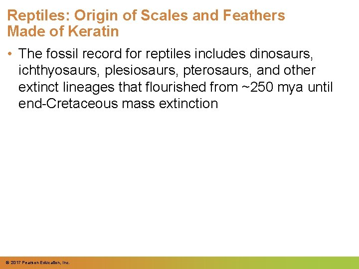 Reptiles: Origin of Scales and Feathers Made of Keratin • The fossil record for Reptiles: Origin of Scales and Feathers Made of Keratin • The fossil record for