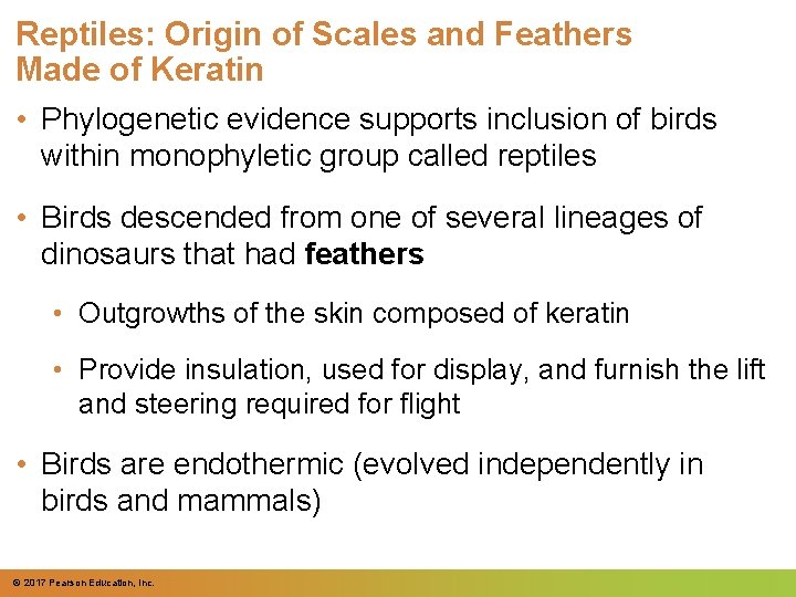 Reptiles: Origin of Scales and Feathers Made of Keratin • Phylogenetic evidence supports inclusion Reptiles: Origin of Scales and Feathers Made of Keratin • Phylogenetic evidence supports inclusion