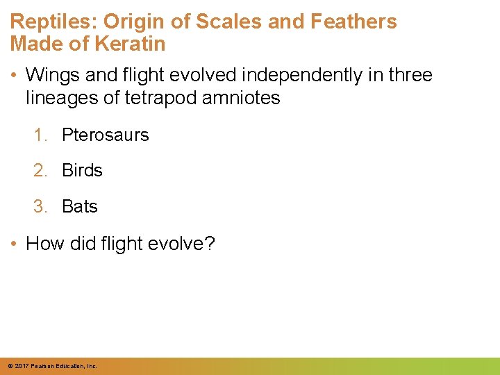 Reptiles: Origin of Scales and Feathers Made of Keratin • Wings and flight evolved Reptiles: Origin of Scales and Feathers Made of Keratin • Wings and flight evolved